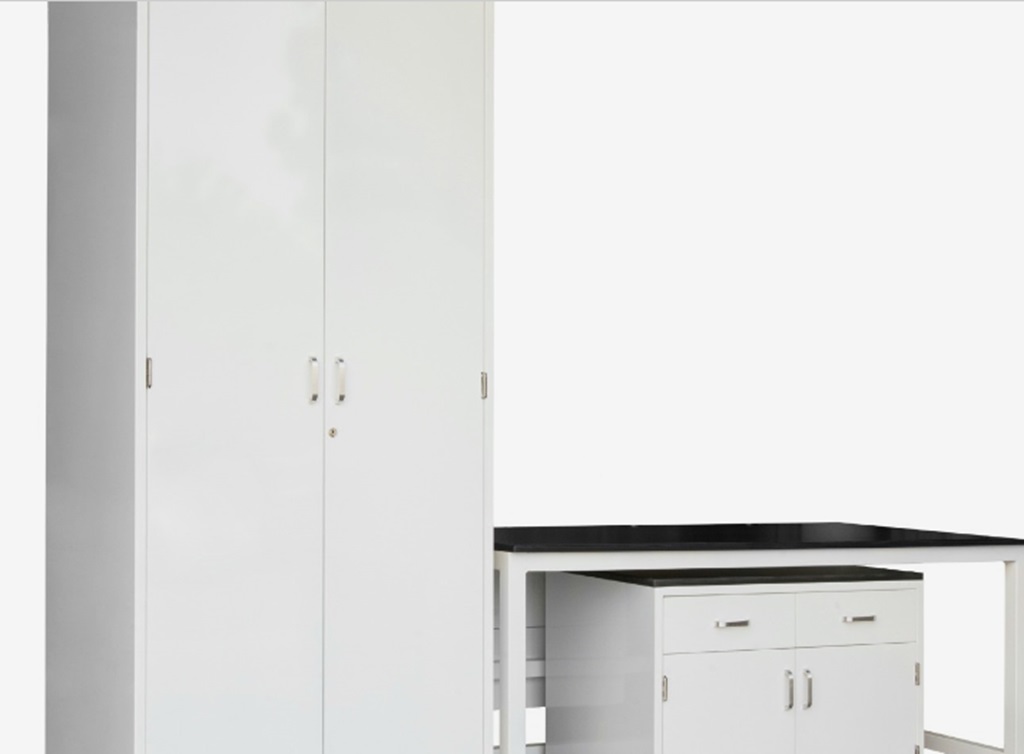 Floor to ceiling lab cabinets