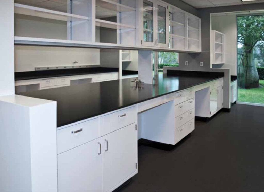 Laboratory cabinets