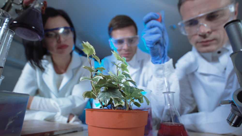 Scientists collaborating in Cheical lab