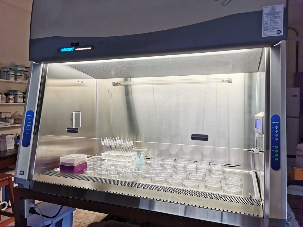 Petri dishes, pipette, test tubes with solutions, inside a biosafety cabinet 